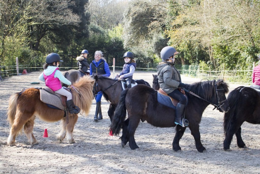 Manège des Platanes — 🐴 Centre équestre historique de La Baule